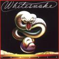   whitesnake20