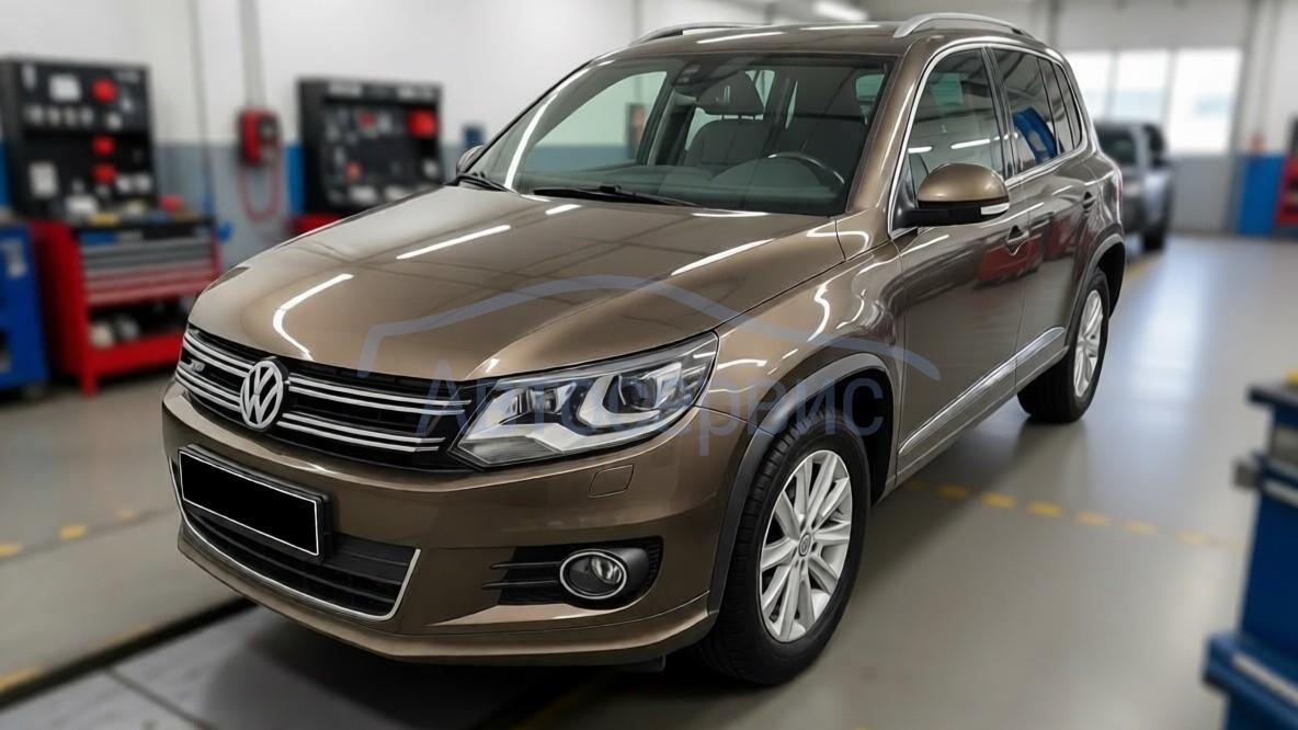 Volkswagen Tiguan ����� ������ ����� ���� � ��������������